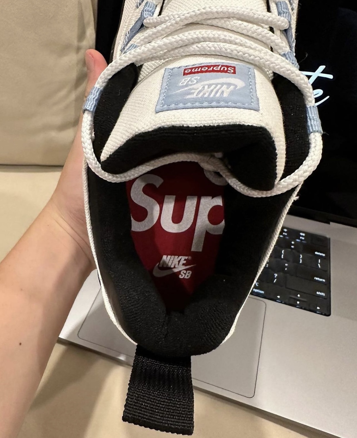 帆布鞋, Supreme x Nike, Supreme, Nike Darwin, Nike - 2024春季发布Supreme x Nike SB Darwin Low系列