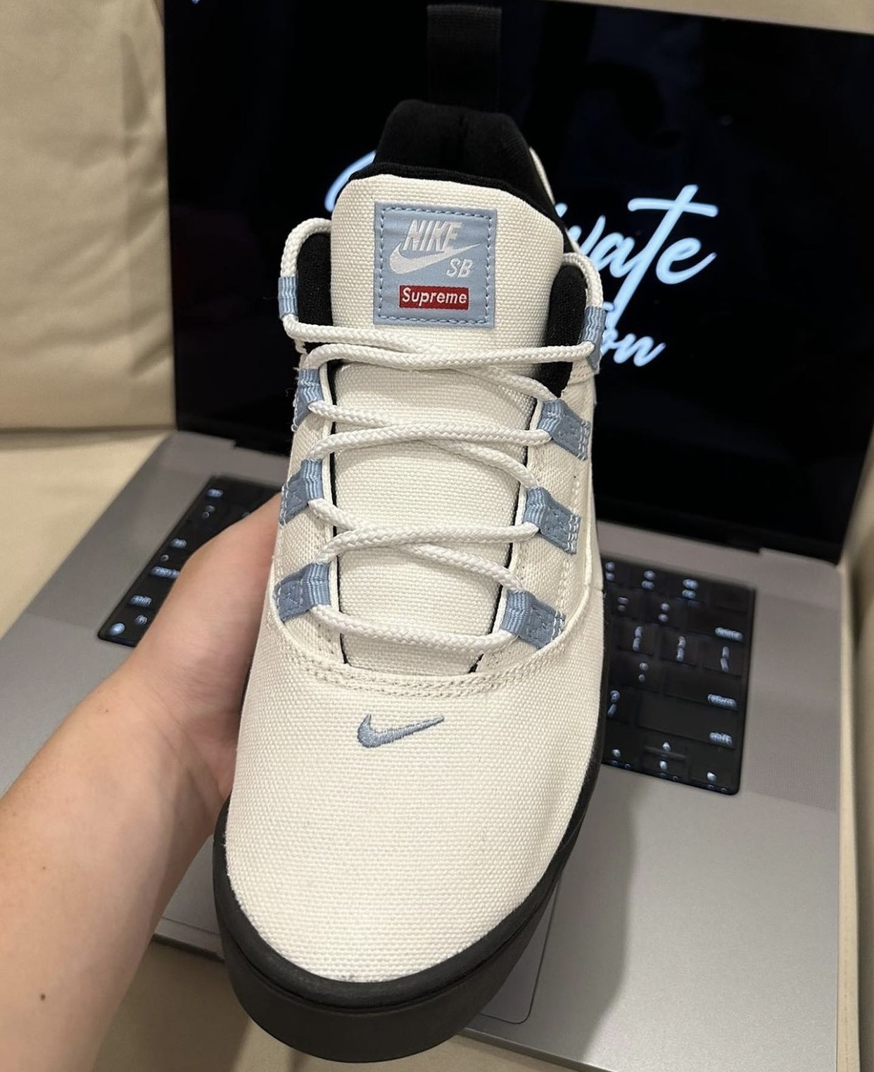 帆布鞋, Supreme x Nike, Supreme, Nike Darwin, Nike - 2024春季发布Supreme x Nike SB Darwin Low系列