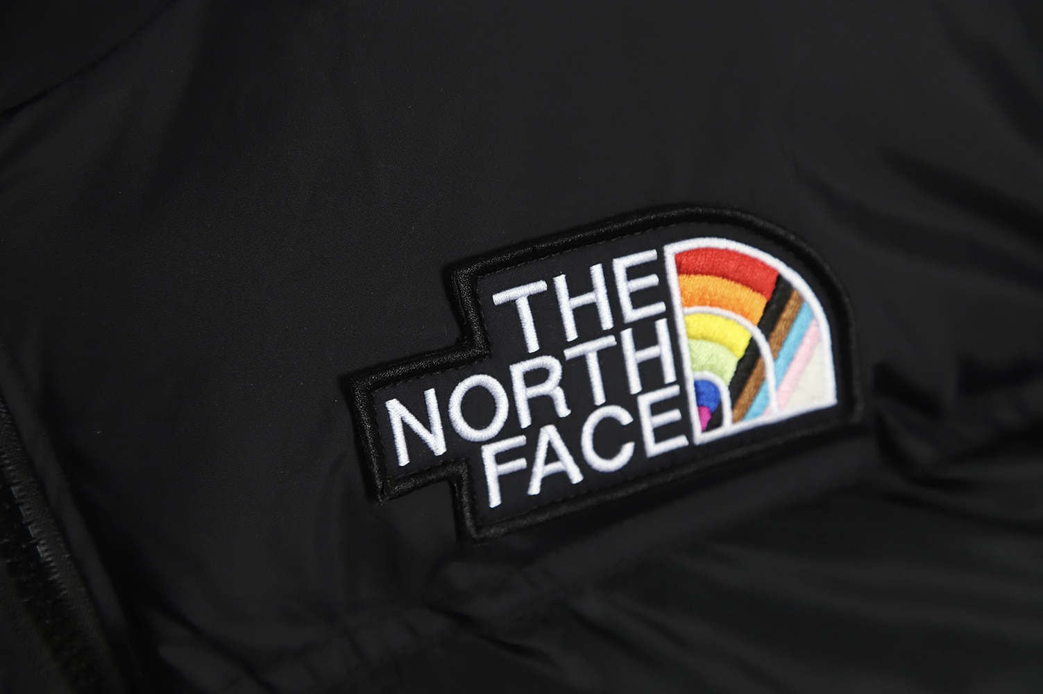 The North Face FW22 1996 复古 Nuptse Pride 夹克 700 Puff 彩虹标志刺绣立领拉链羽绒服 TSK1 The North Face FW22 1996 复古 Nuptse Pride 夹克 700 Puff 彩虹标志刺绣立领拉链羽绒服 TSK1
