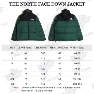 The North Face 1996 羽绒服 5s 版 TSK6