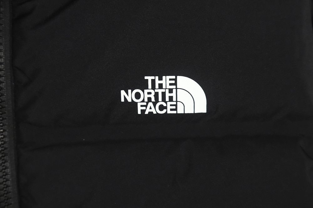 The North Face Belayer 派克大衣光电连帽 GTX 防水羽绒服