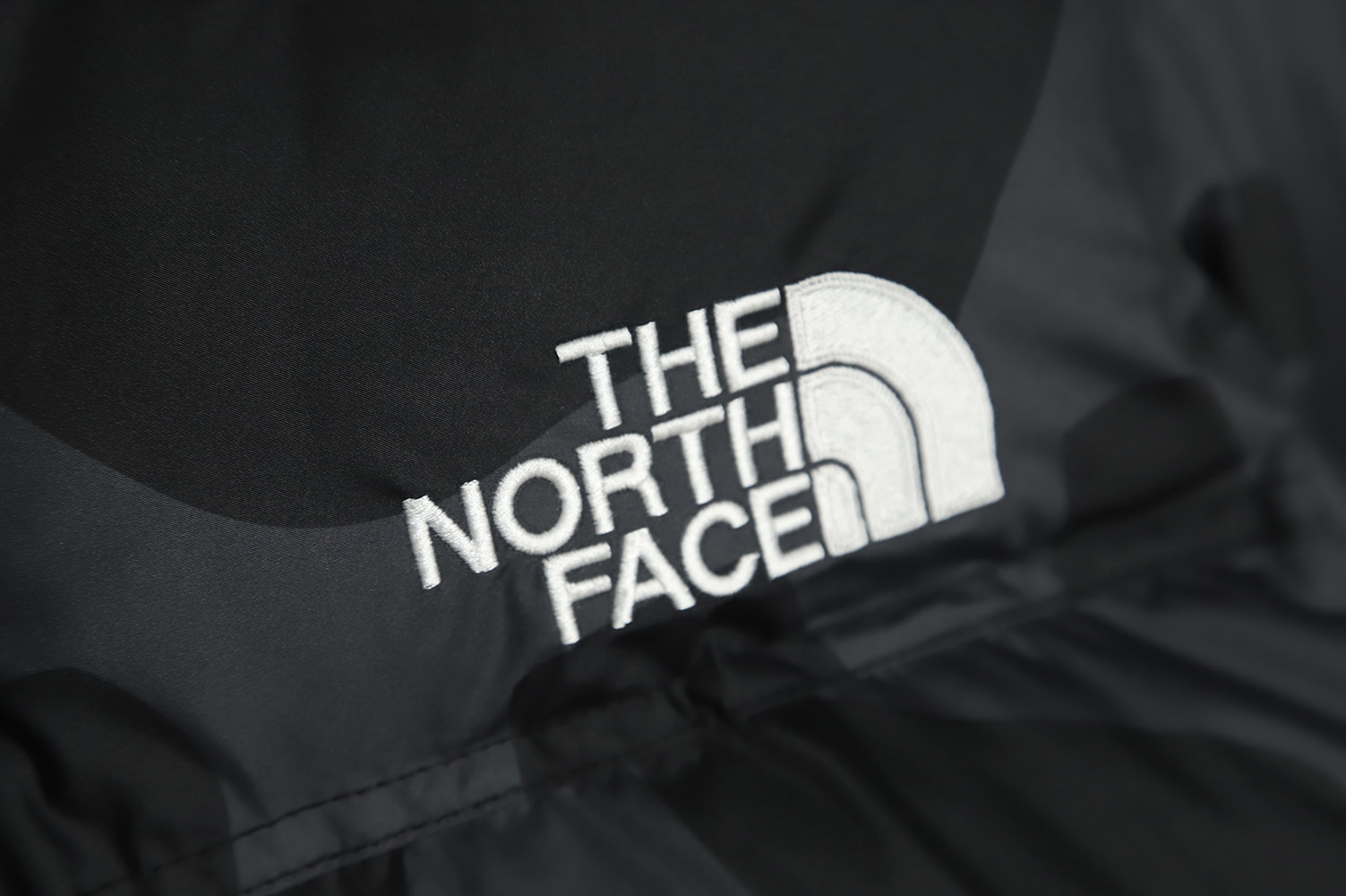 The North Face KAWS 联名 1996 美版羽绒服 TSK1 The North Face KAWS 联名 1996 美版羽绒服 TSK1