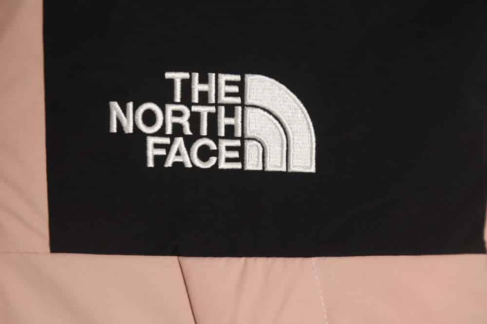 The North Face TNF North Face DRYVENT Gore-tex 防水工作服 Charge 羽绒服_CM_1
