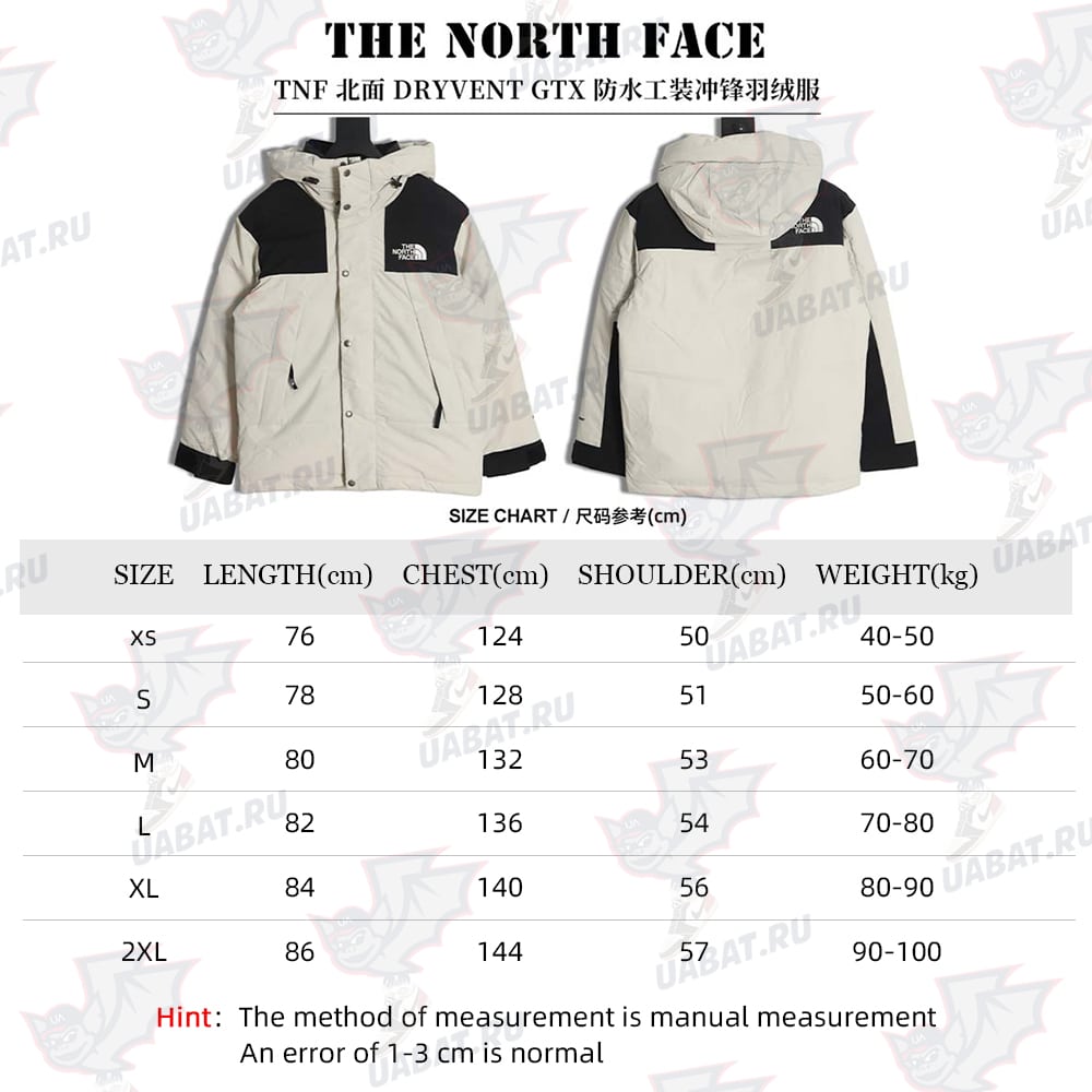 The North Face TNF North Face DRYVENT Gore-tex 防水工作服 Charge 羽绒服_CM_3