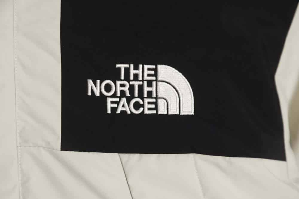 The North Face TNF North Face DRYVENT Gore-tex 防水工作服 Charge 羽绒服_CM_3