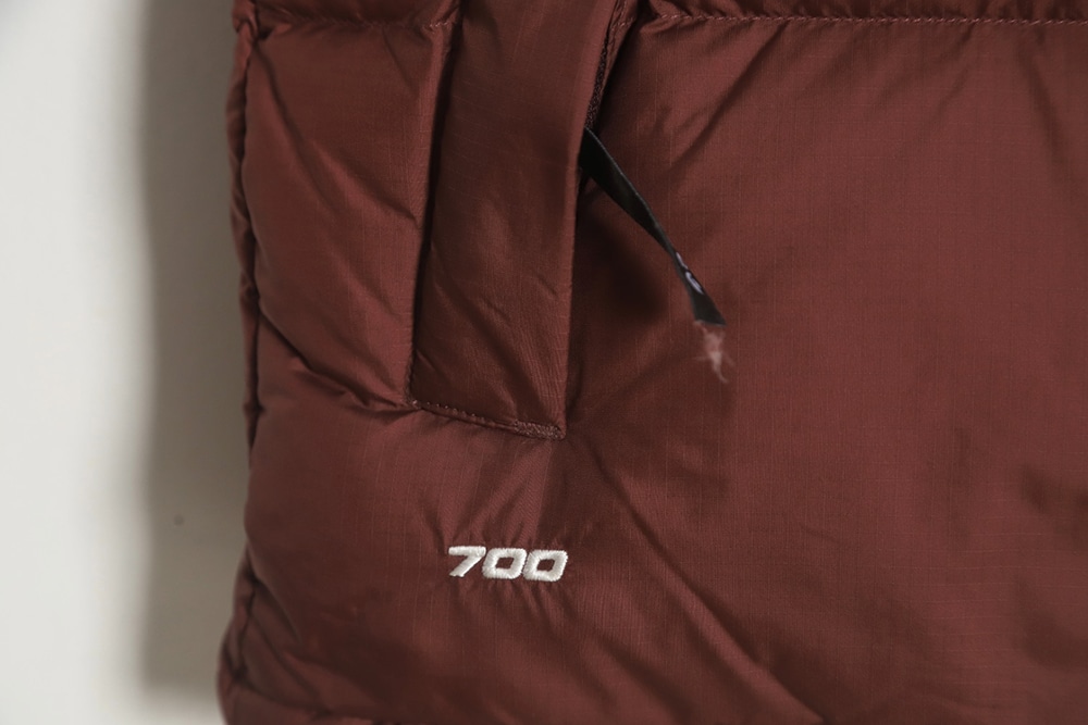 THE NORTH FACE 1996 经典羽绒马甲