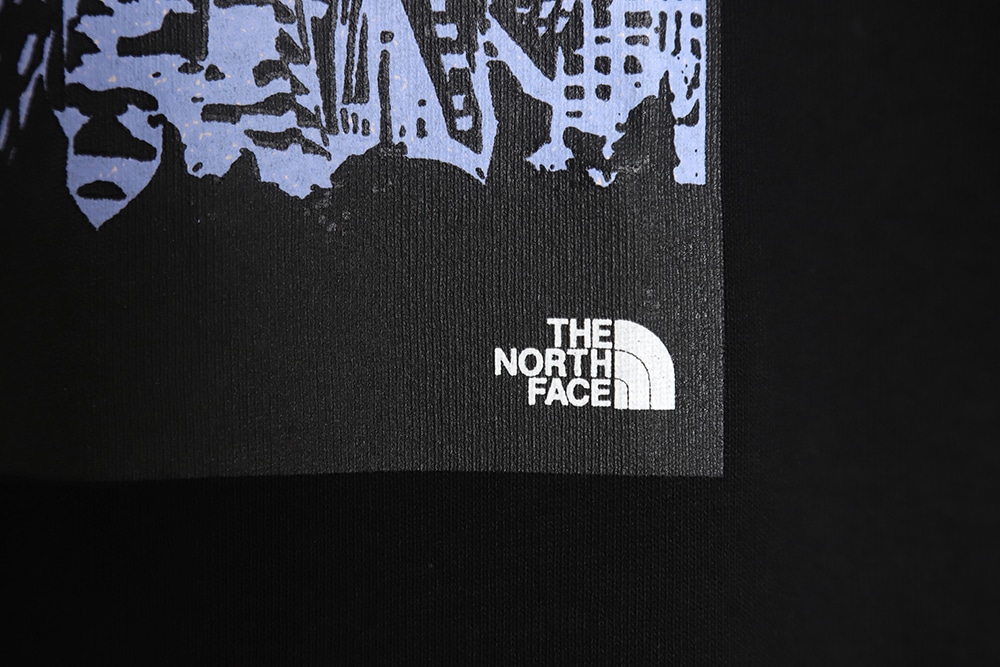 The North Face 紫色标签 5.5 印花风景短袖 T 恤 TSK1