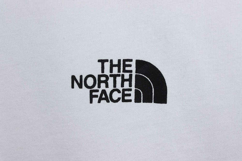 North Face 日版山地印花短袖