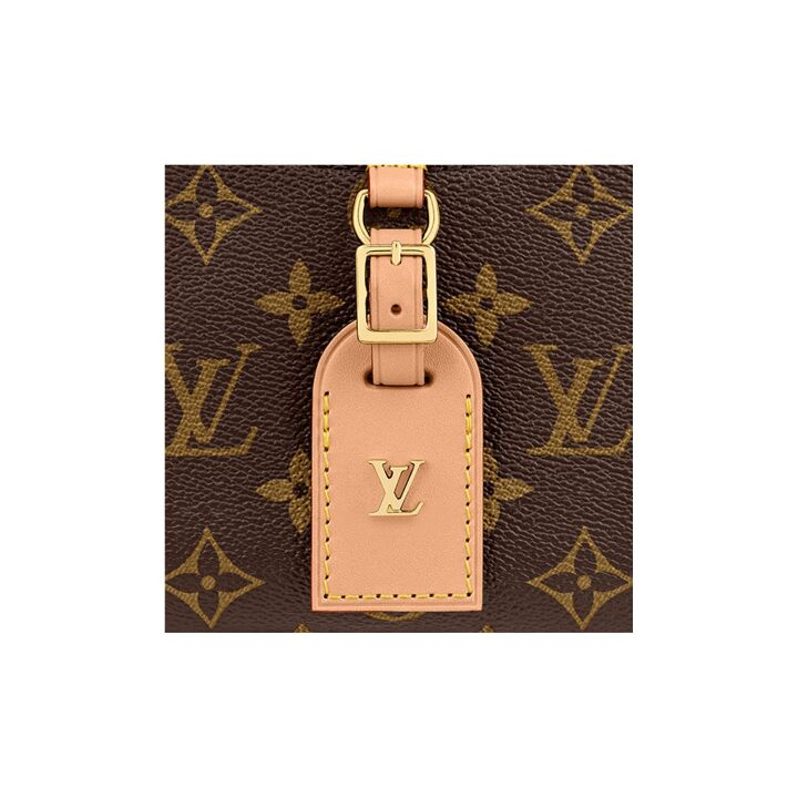 LOUIS VUITTON Deauville 老花满印 牛皮 单肩斜挎包 迷你 女款 棕色