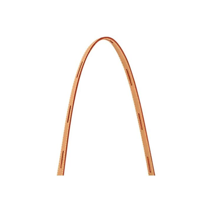 LOUIS VUITTON 老花满印 涂层帆布 软圆饼包单肩斜挎手提包 大号 女款 棕色 #背面配有贴袋#