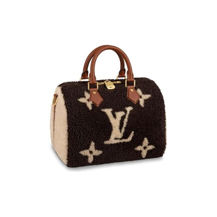 LOUIS VUITTON Speedy Teddy 25 可拆卸可调节肩带老花印花 羊羔毛 枕头包单肩包斜挎包手提包 女款 栗色