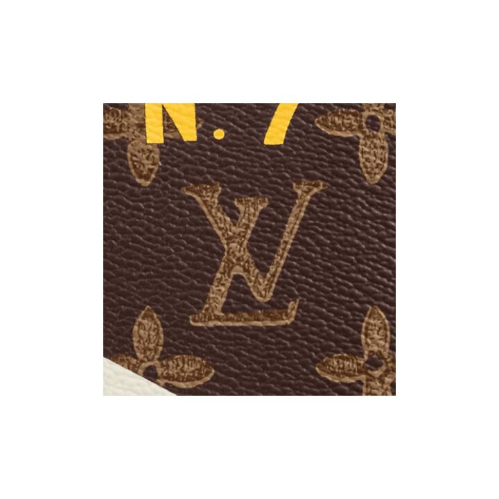 LOUIS VUITTON Trunk 可拆卸可调节肩带拉链开合 满印老花涂层帆布拼牛皮革饰边 盒子包单肩斜挎钱包 男款 棕色