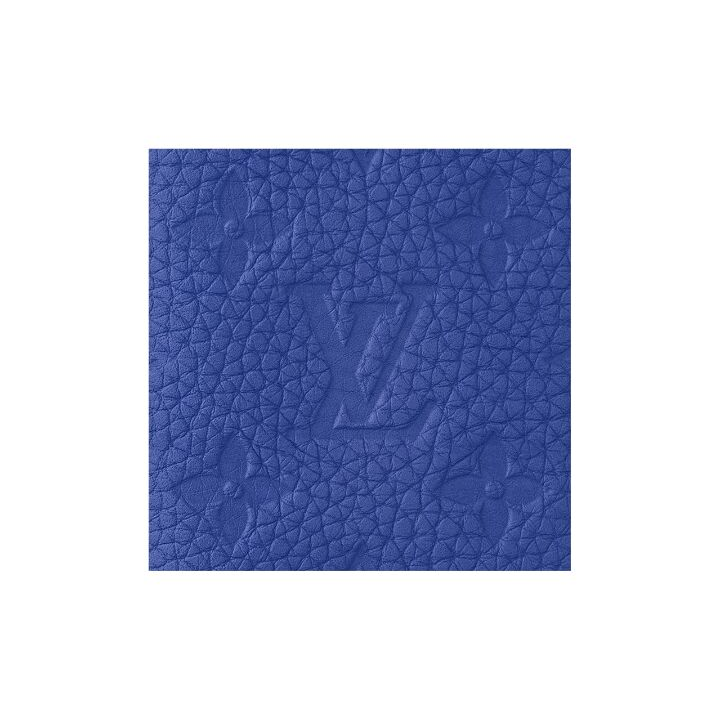 LOUIS VUITTON Organizer de Poche 字母压花图案翻盖开合 牛皮 钱包 男款 蓝色