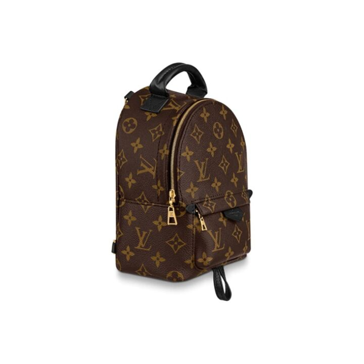 LOUIS VUITTON Palm Springs 经典老花 涂层帆布拼牛皮革饰边 书包背包双肩包 迷你 女款 棕色