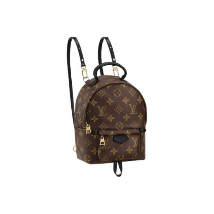LOUIS VUITTON Palm Springs 经典老花 涂层帆布拼牛皮革饰边 书包背包双肩包 迷你 女款 棕色